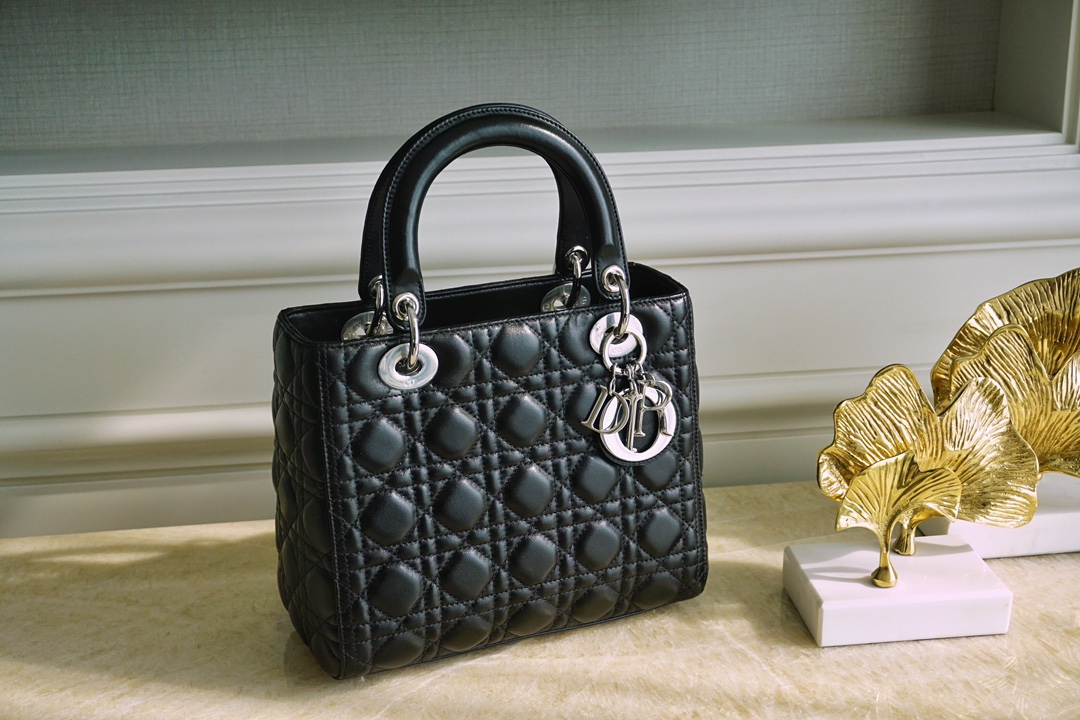Dior Lady Handbags Crossbody & Shoulder Bags Silver Hardware