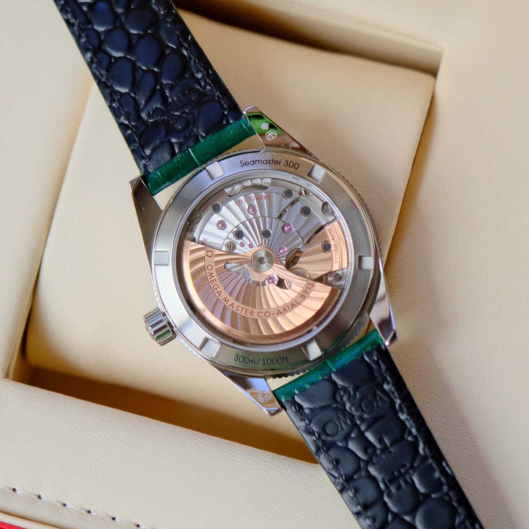 Omega 海马系列 机械表包,手表 5