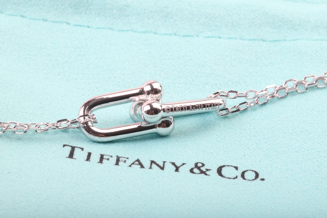 Tiffany & Co. Tiffany&Co.Hardwear U形竹节锁骨项链