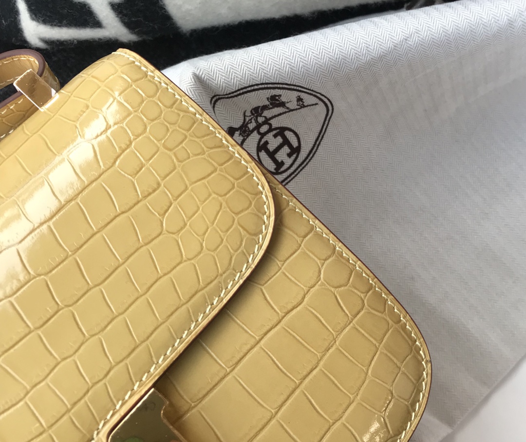 Hermès Constance 18 Alligator Leather Shoulder Bag - Milk Apricot, Gold Hardware 6 i1619352055 8876 5