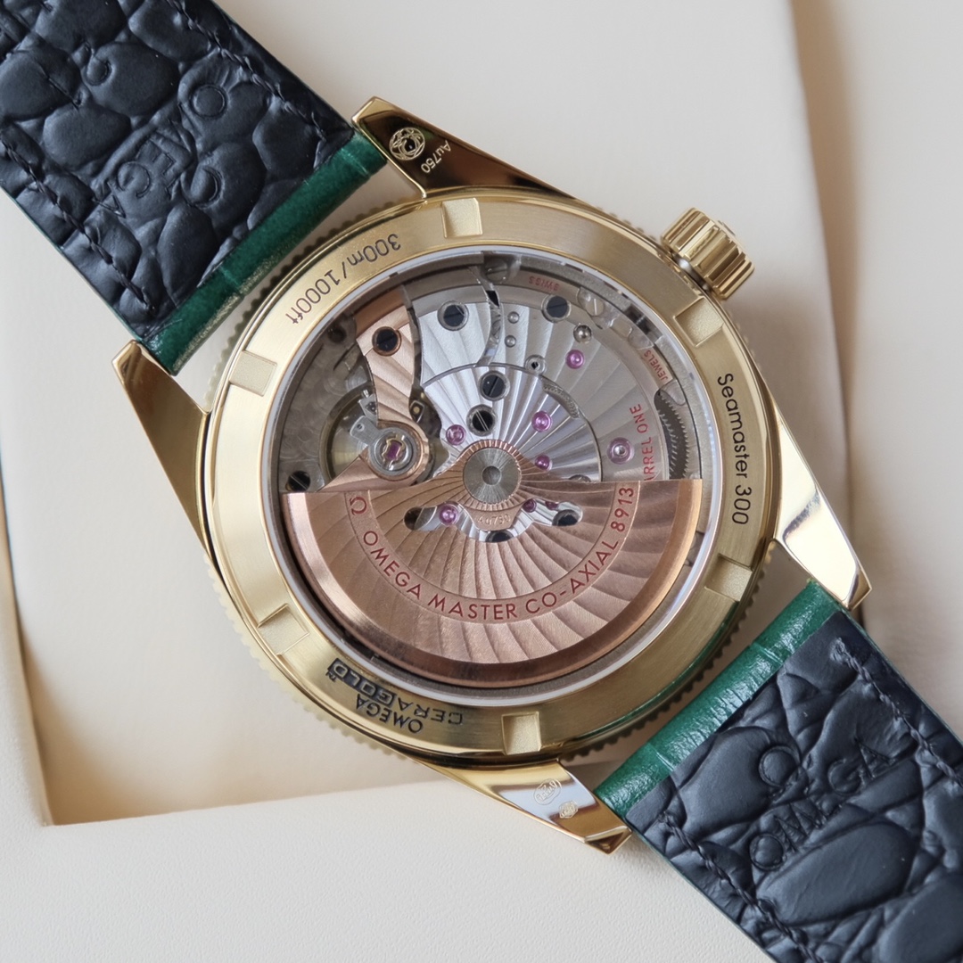 Omega 海马系列 机械表包,手表 5