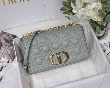 Dior Caro Replica Bags Handbags Gold Grey Embroidery Vintage Cowhide