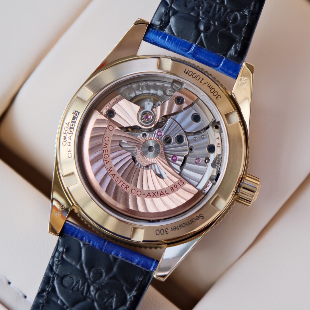 Omega 海马系列 机械表包,手表 5