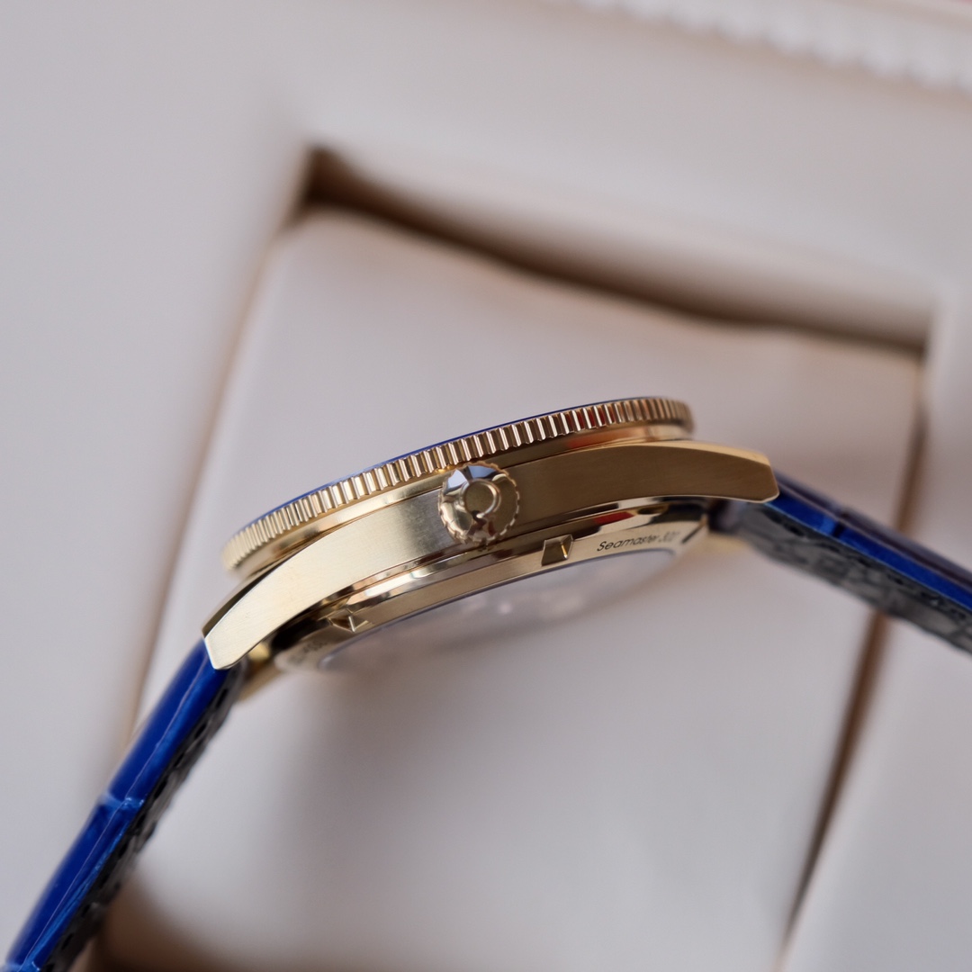 Omega 海马系列 机械表包,手表 4