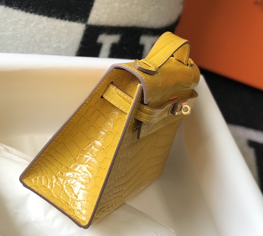 高雅德 Goyard 高定经典皮革女包手袋 #8DE0CAE7 4