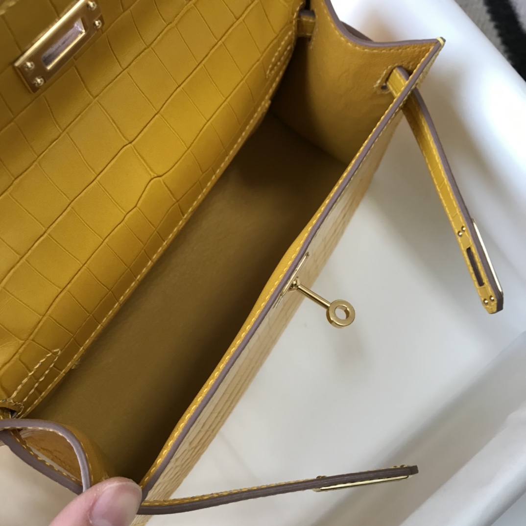 高雅德 Goyard 高定经典皮革女包手袋 #8DE0CAE7 8