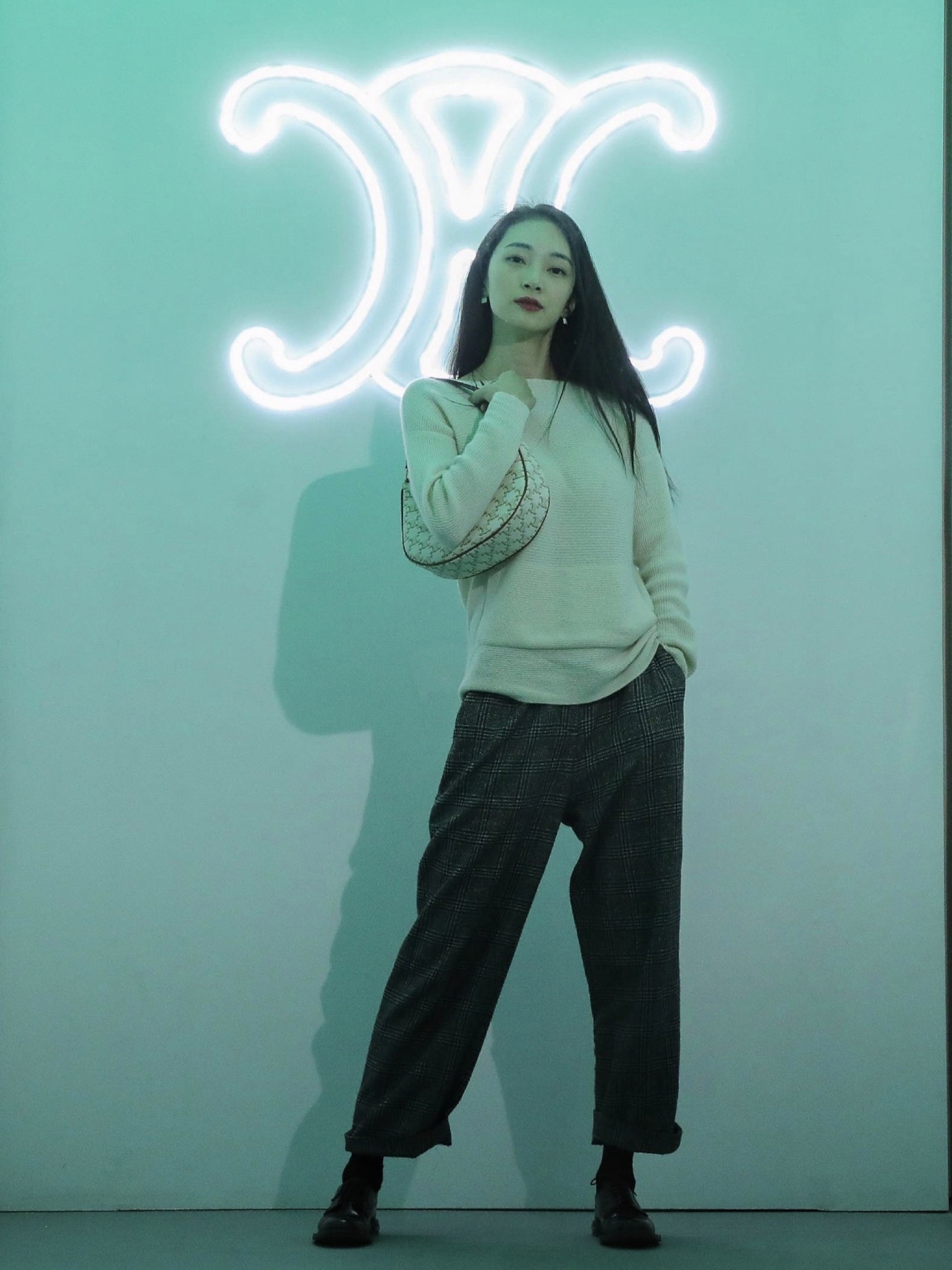 CELINE AVA 白花Ttiomphe腋下包 193952