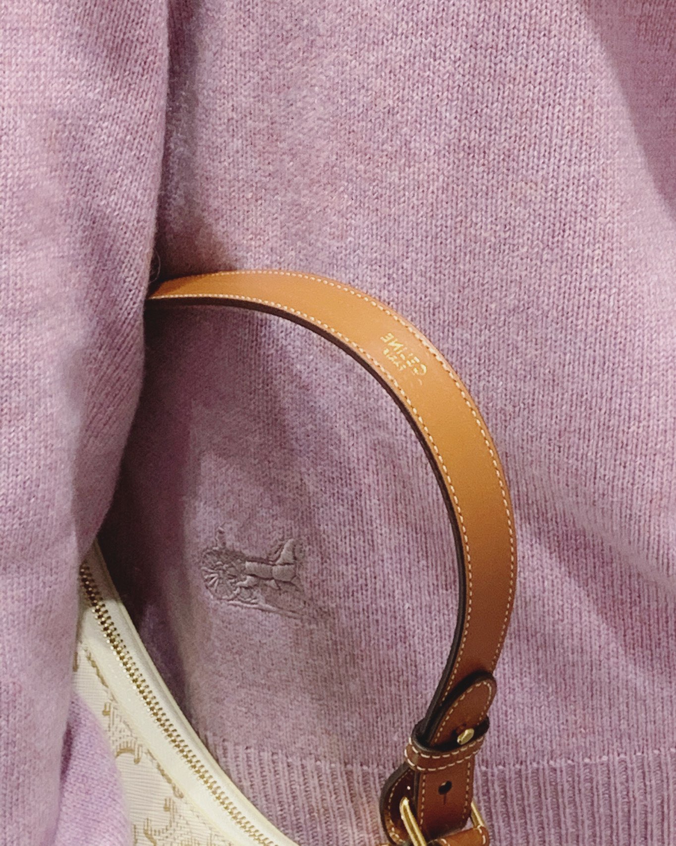 CELINE AVA 白花Ttiomphe腋下包 193952