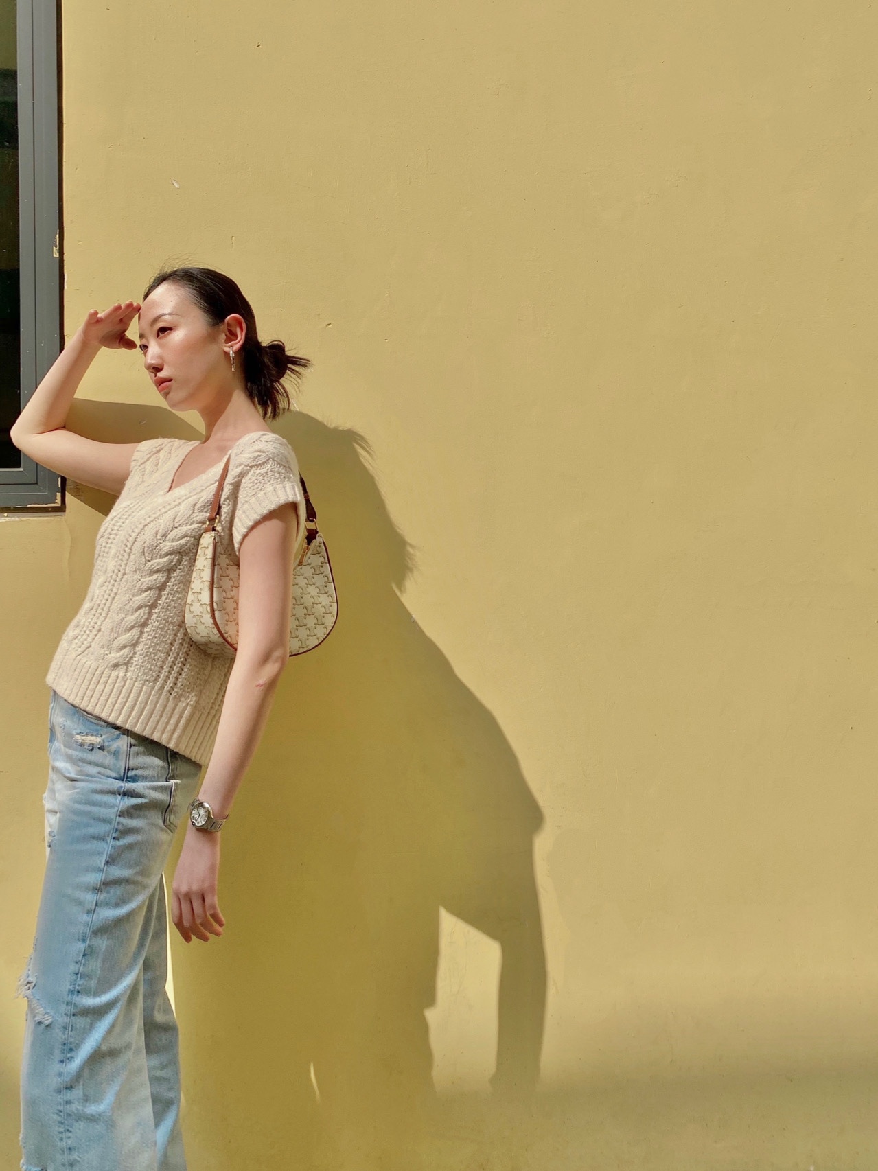 CELINE AVA 白花Ttiomphe腋下包 193952