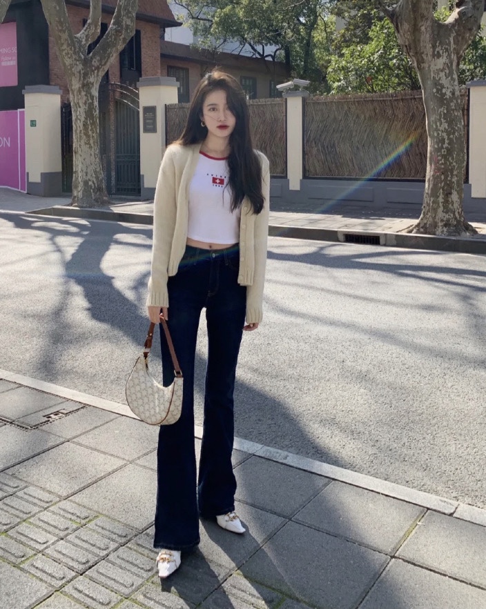 CELINE AVA 白花Ttiomphe腋下包 193952