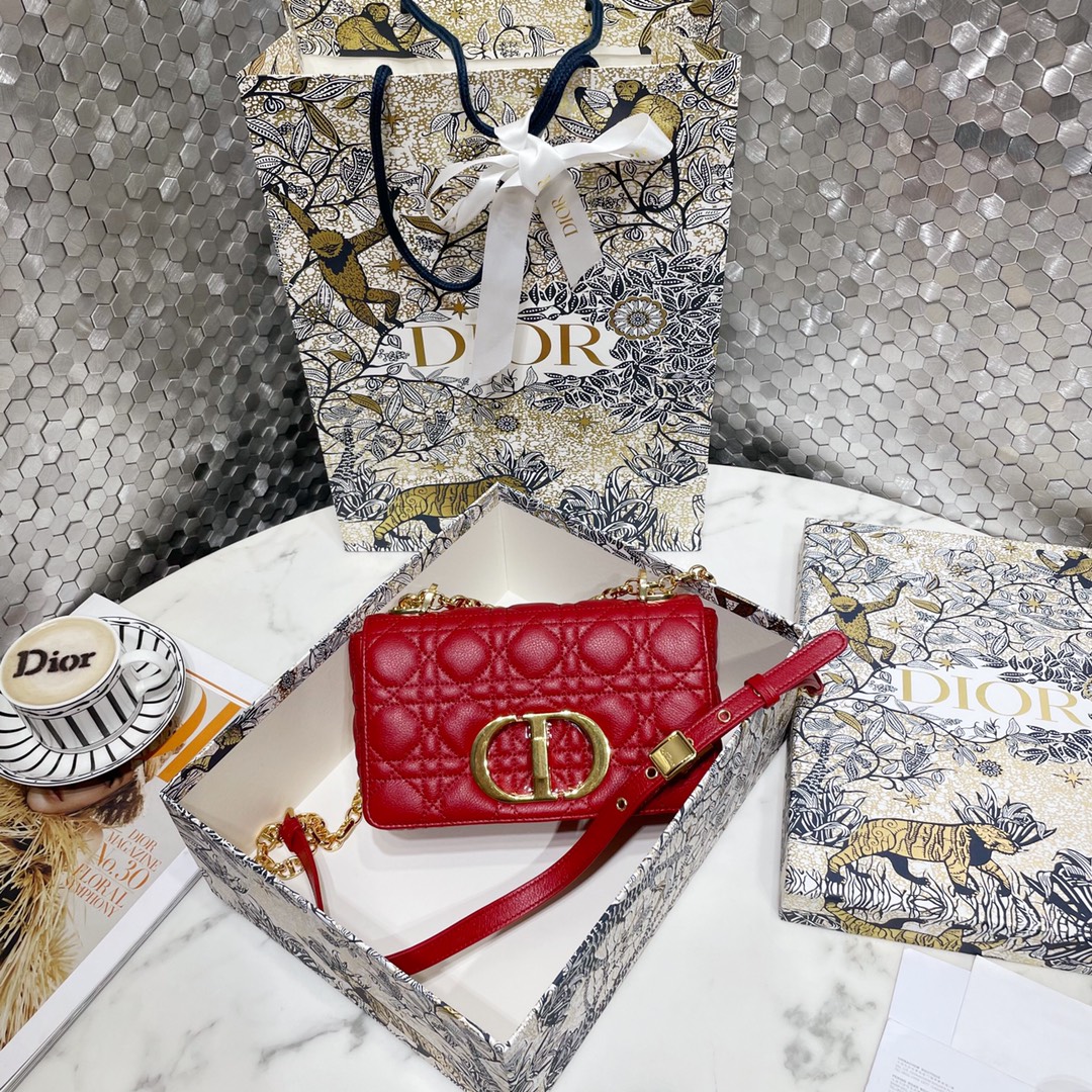 Dior Caro Bags Handbags Gold Embroidery Vintage Cowhide