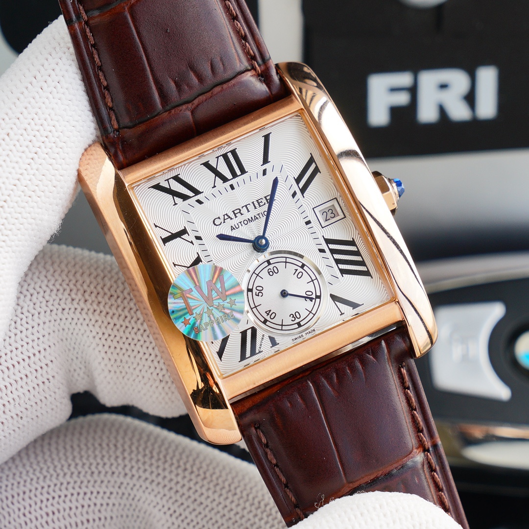Cartier - Diving Watch