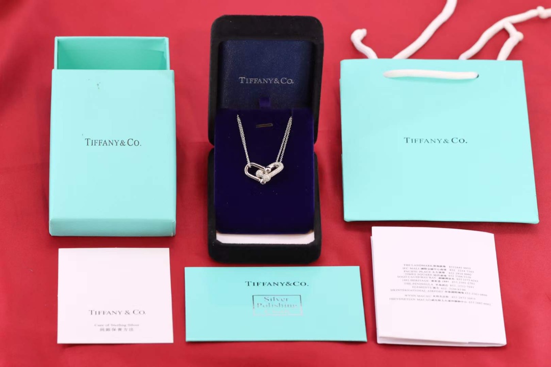 Tiffany & Co. Tiffany&Co.Hardwear U形竹节锁骨项链