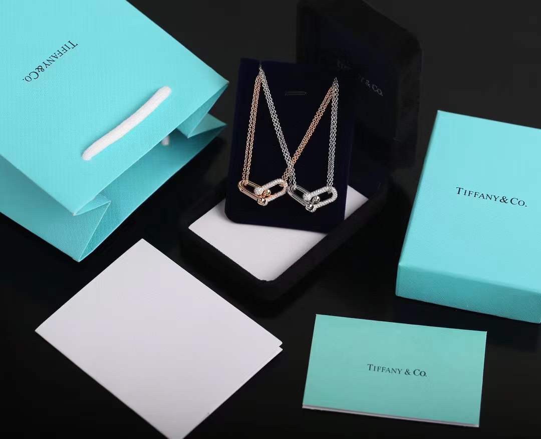 Tiffany & Co. Tiffany&Co.Hardwear U形竹节锁骨项链