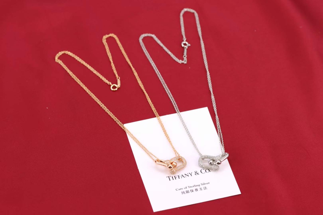 Tiffany & Co. Tiffany&Co.Hardwear U形竹节锁骨项链