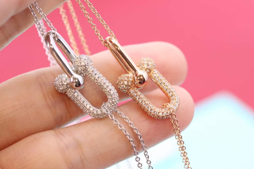 Tiffany & Co. Tiffany&Co.Hardwear U形竹节锁骨项链