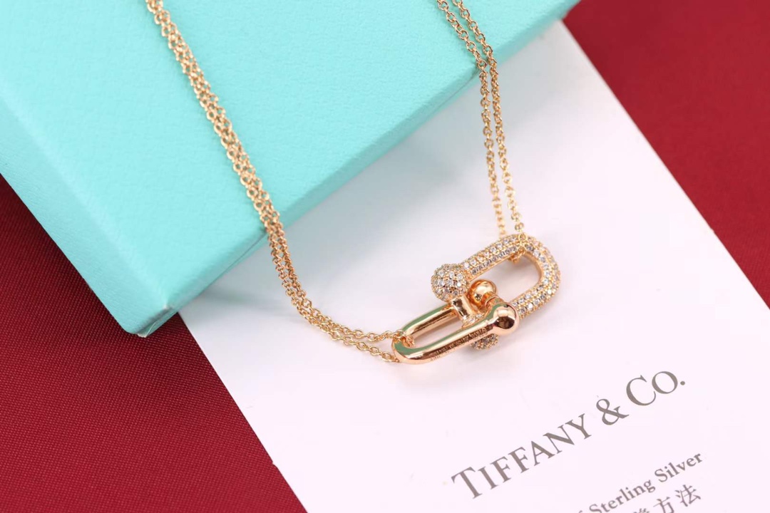 Tiffany & Co. Tiffany&Co.Hardwear U形竹节锁骨项链