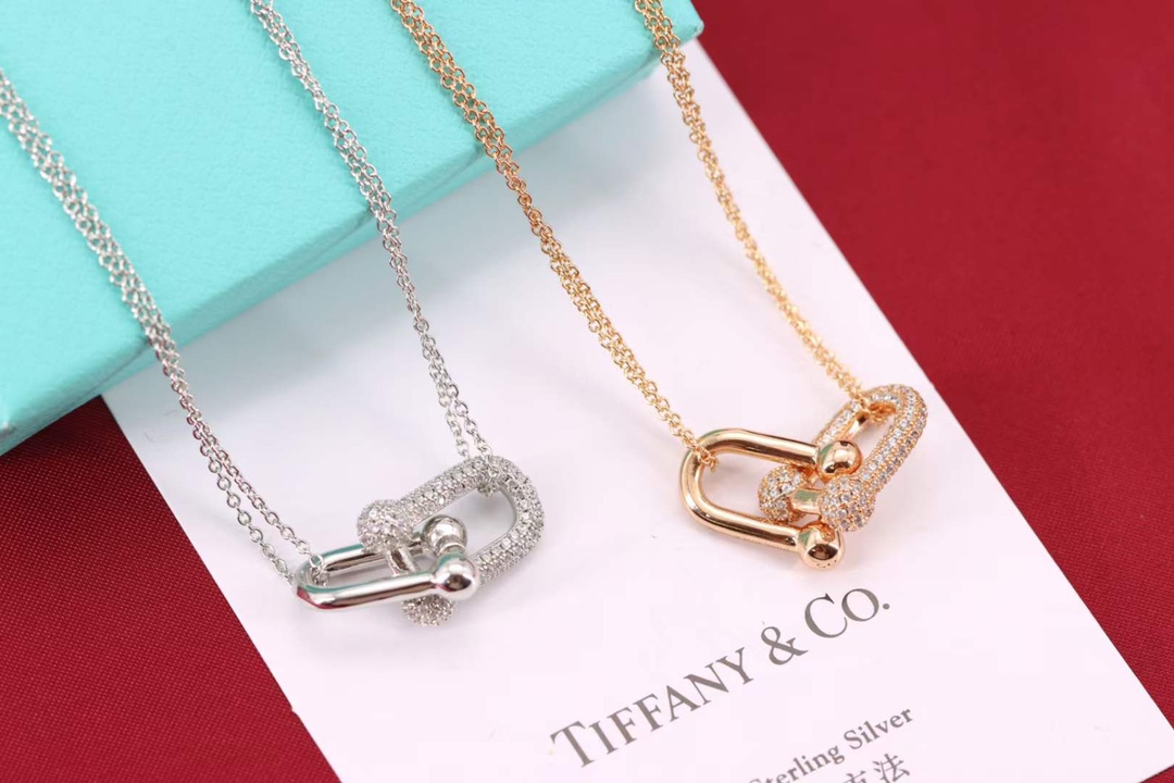 Tiffany & Co. Tiffany&Co.Hardwear U形竹节锁骨项链
