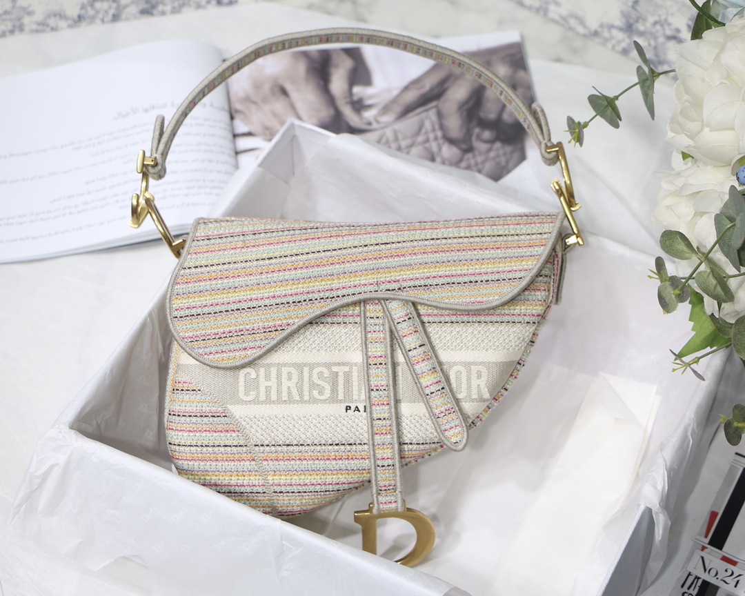 Dior Saddle Embroidered Striped Multicolor Saddle Bag