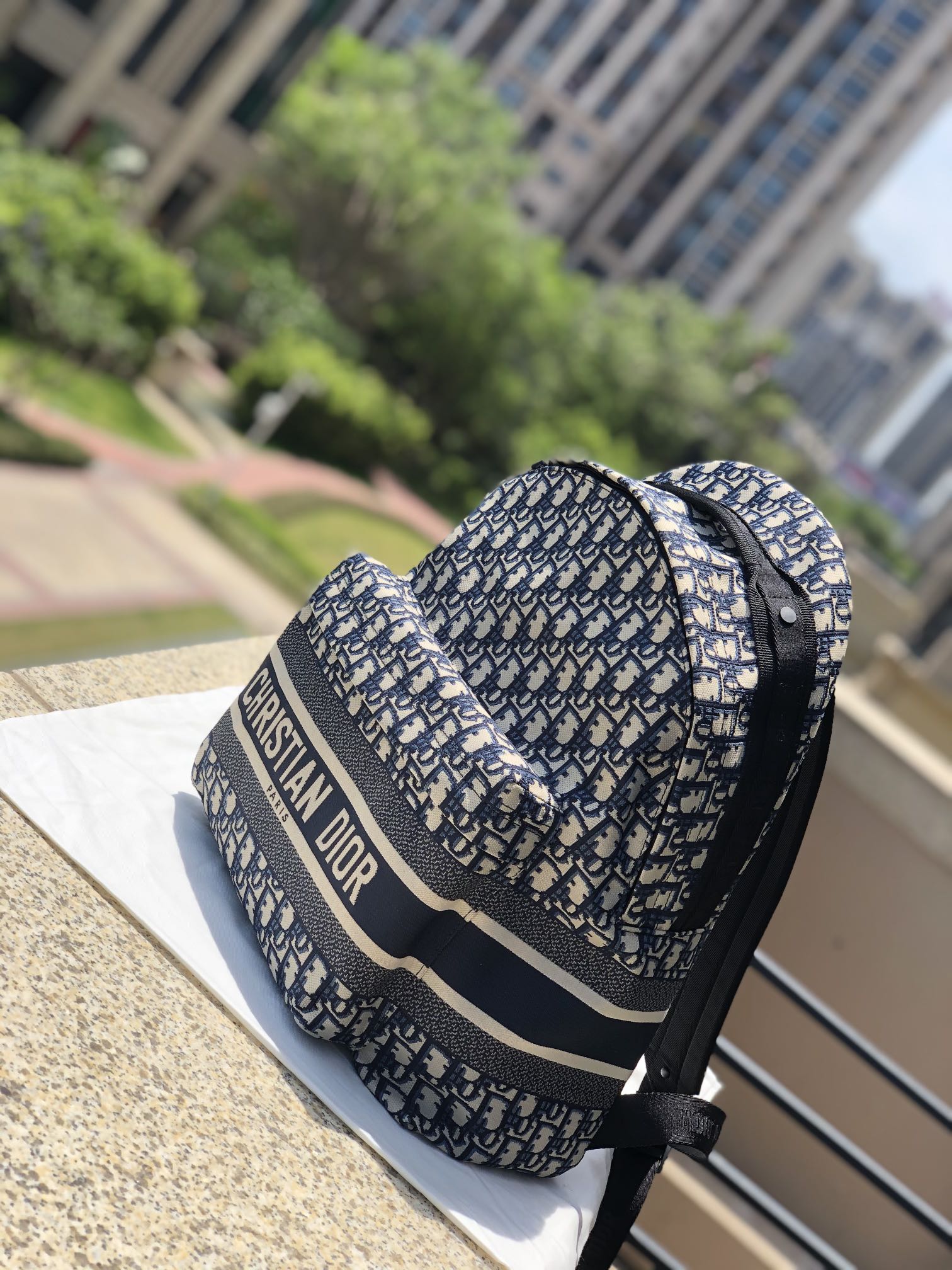 Versión superior mejorada Tamaño: 35 × 41 × 15 cm Los recursos del canal extranjero de Dior se especializan en mochila …