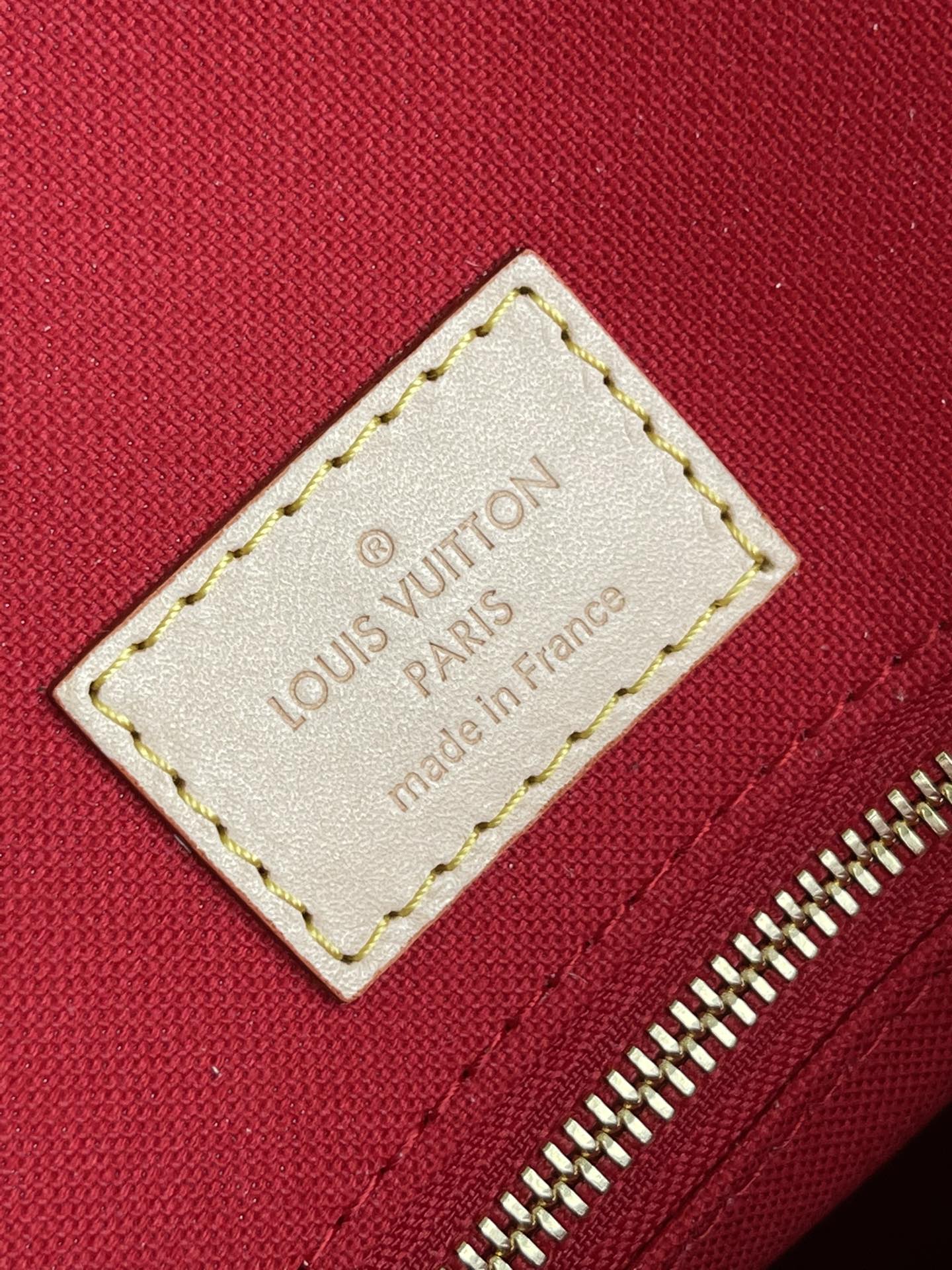 Louis Vuitton Luxury Handbag Collection 9