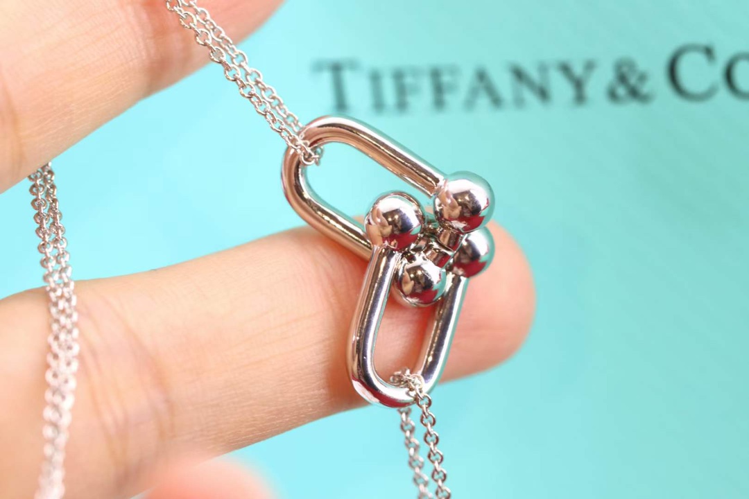 Tiffany & Co. Tiffany&Co.Hardwear U形竹节锁骨项链