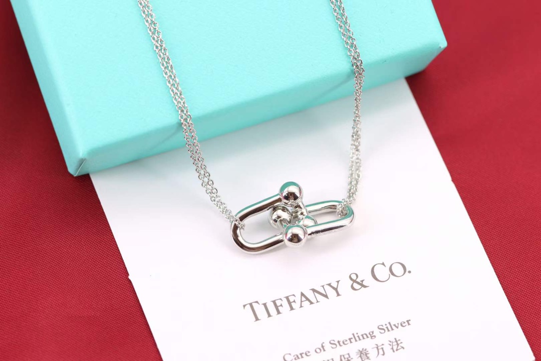 Tiffany & Co. Tiffany&Co.Hardwear U形竹节锁骨项链