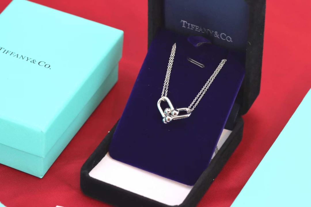 Tiffany & Co. Tiffany&Co.Hardwear U形竹节锁骨项链