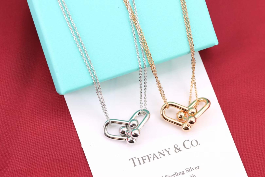 Tiffany & Co. Tiffany&Co.Hardwear U形竹节锁骨项链