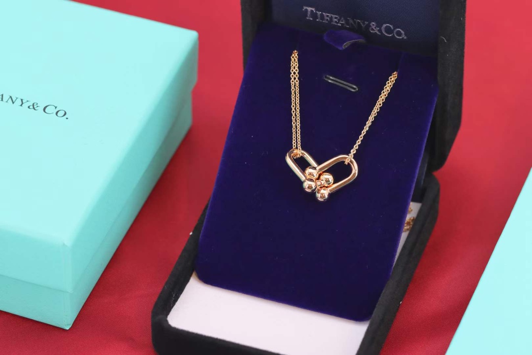 Tiffany & Co. Tiffany&Co.Hardwear U形竹节锁骨项链