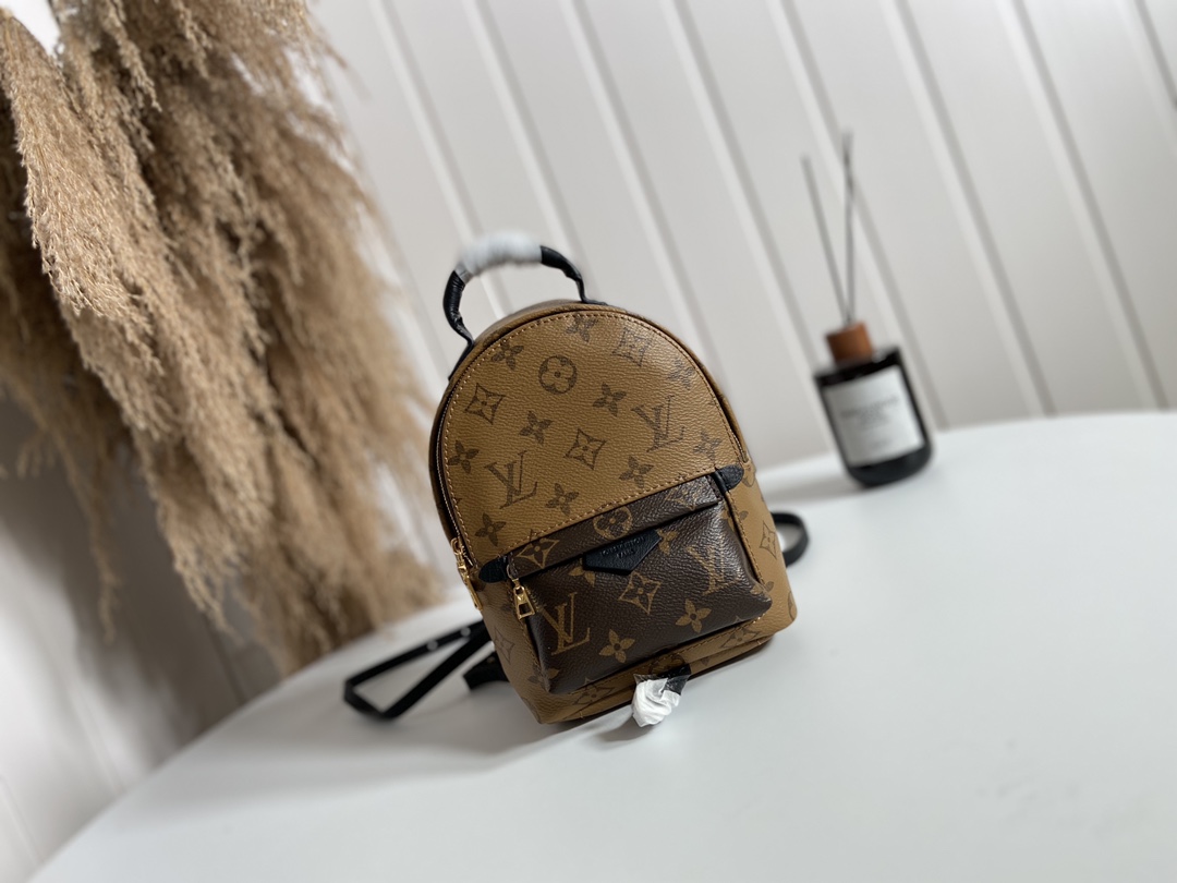 Louis Vuitton LV Palm Springs Bags Backpack Monogram Reverse Canvas Mini M44872