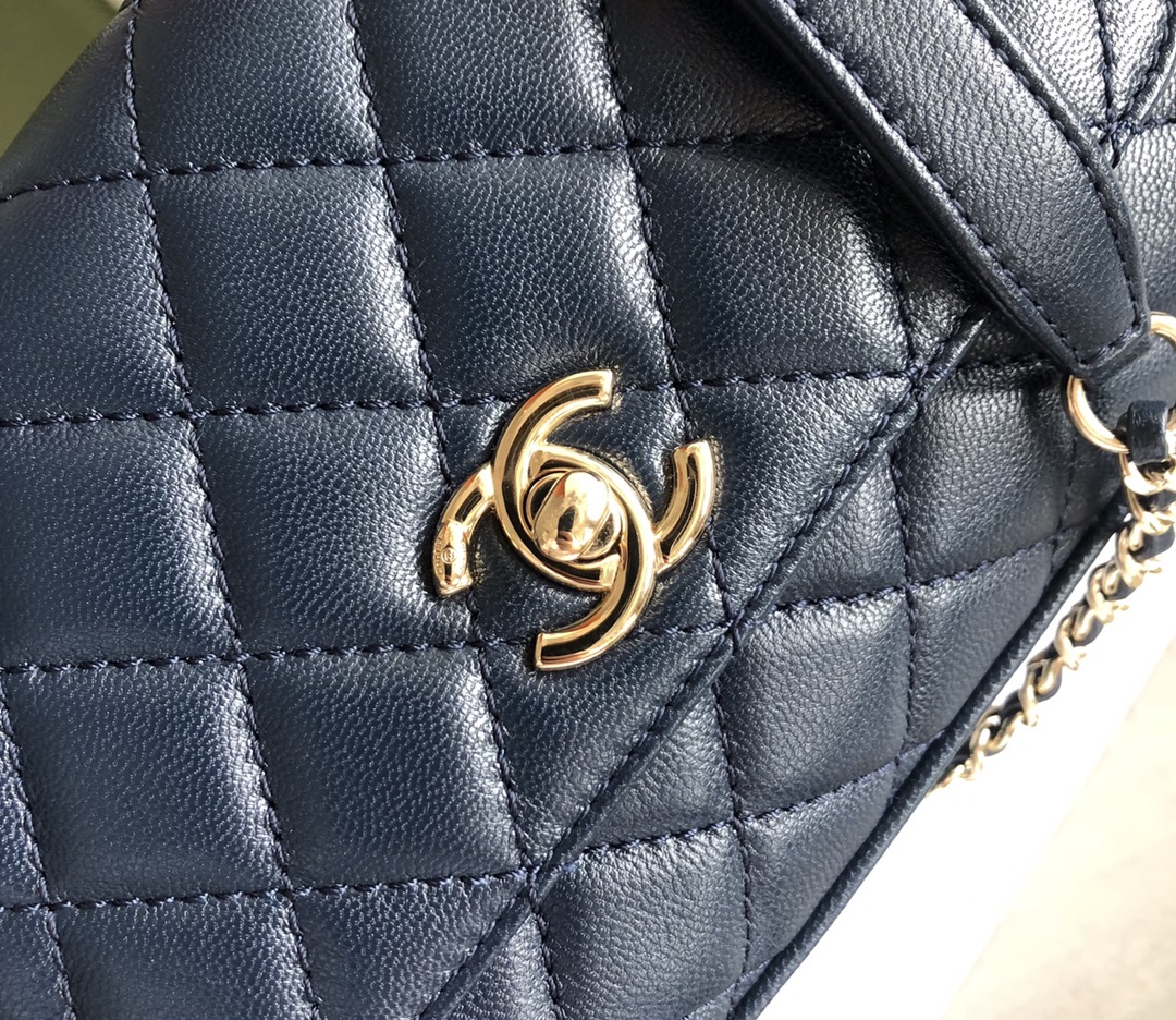 Chanel Luxury Designer Handbag crafted in premium calfskin leather 5