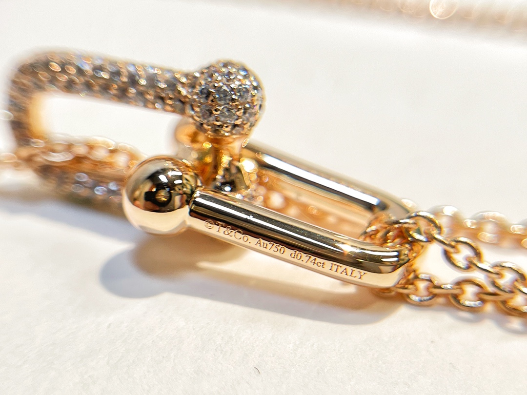 Tiffany&co 蒂芙尼满钻双链环项链
