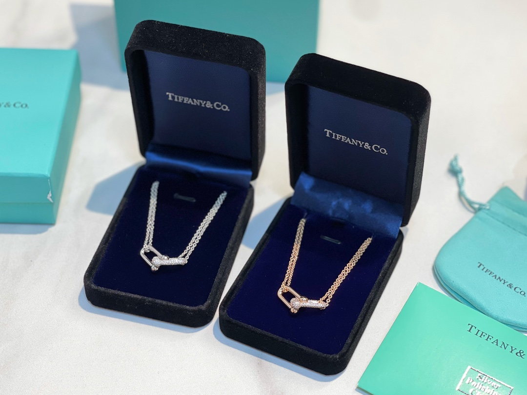 Tiffany&co 蒂芙尼满钻双链环项链