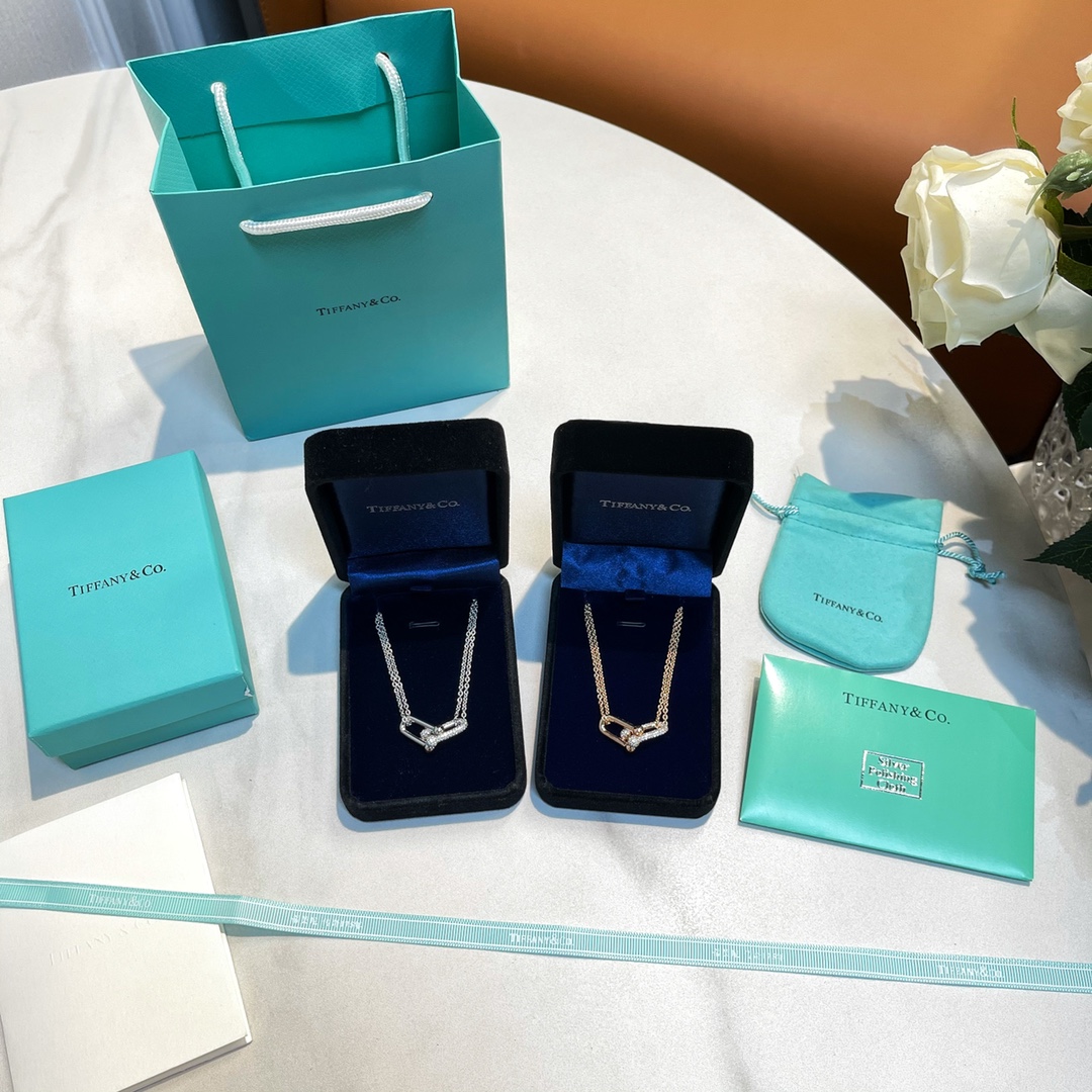 Tiffany&co 蒂芙尼满钻双链环项链