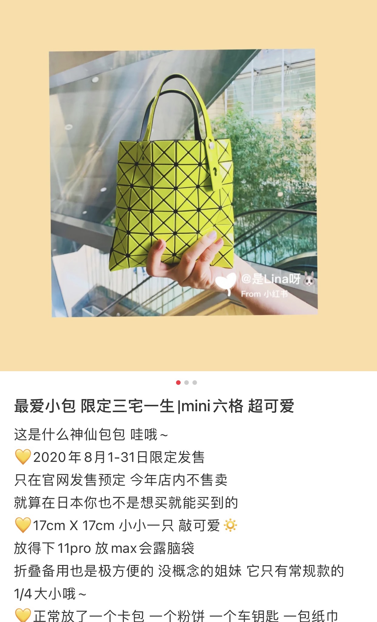 IsseyMiyake BAOBAO｜三宅一生mini6格手提袋