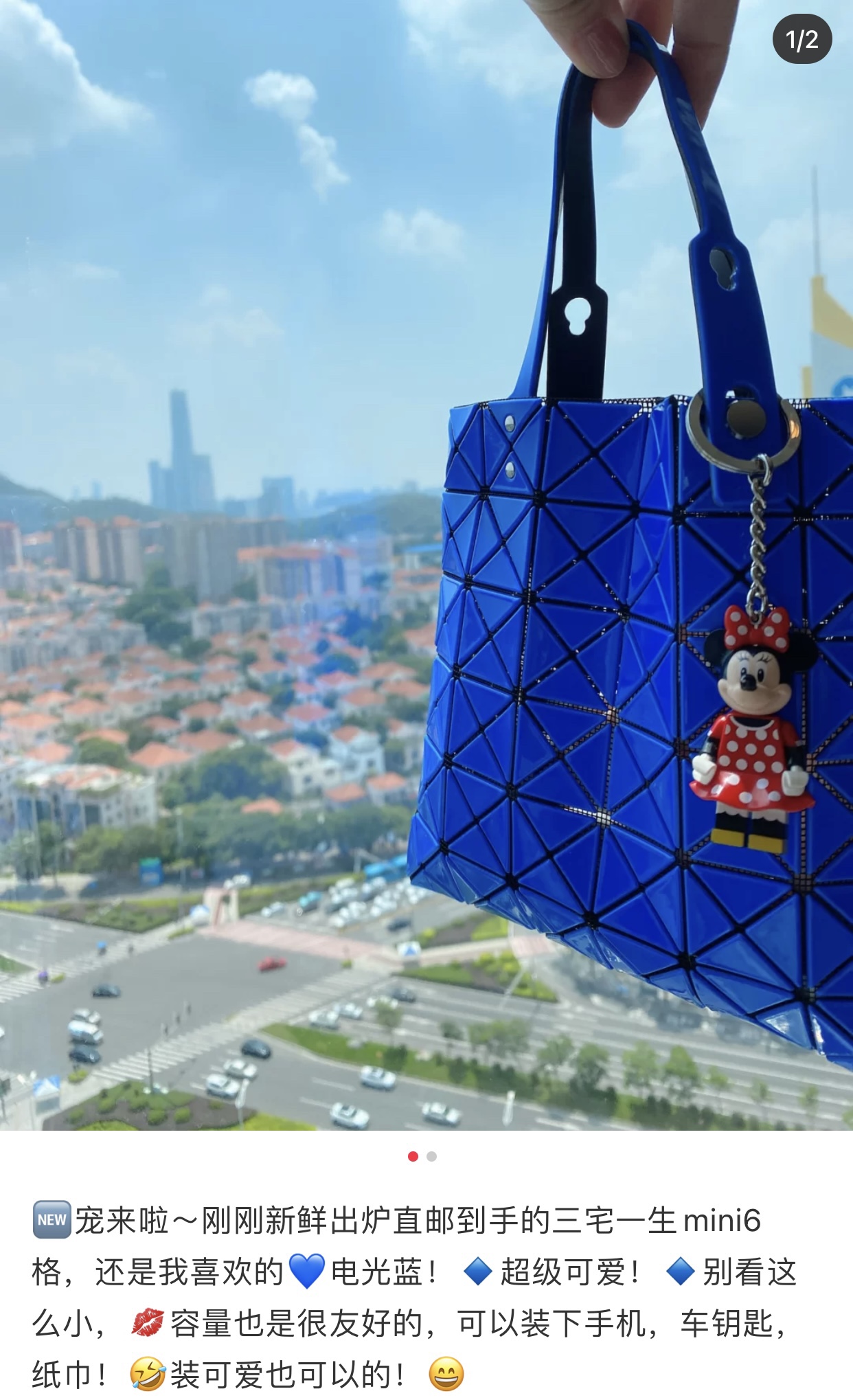 IsseyMiyake BAOBAO｜三宅一生mini6格手提袋