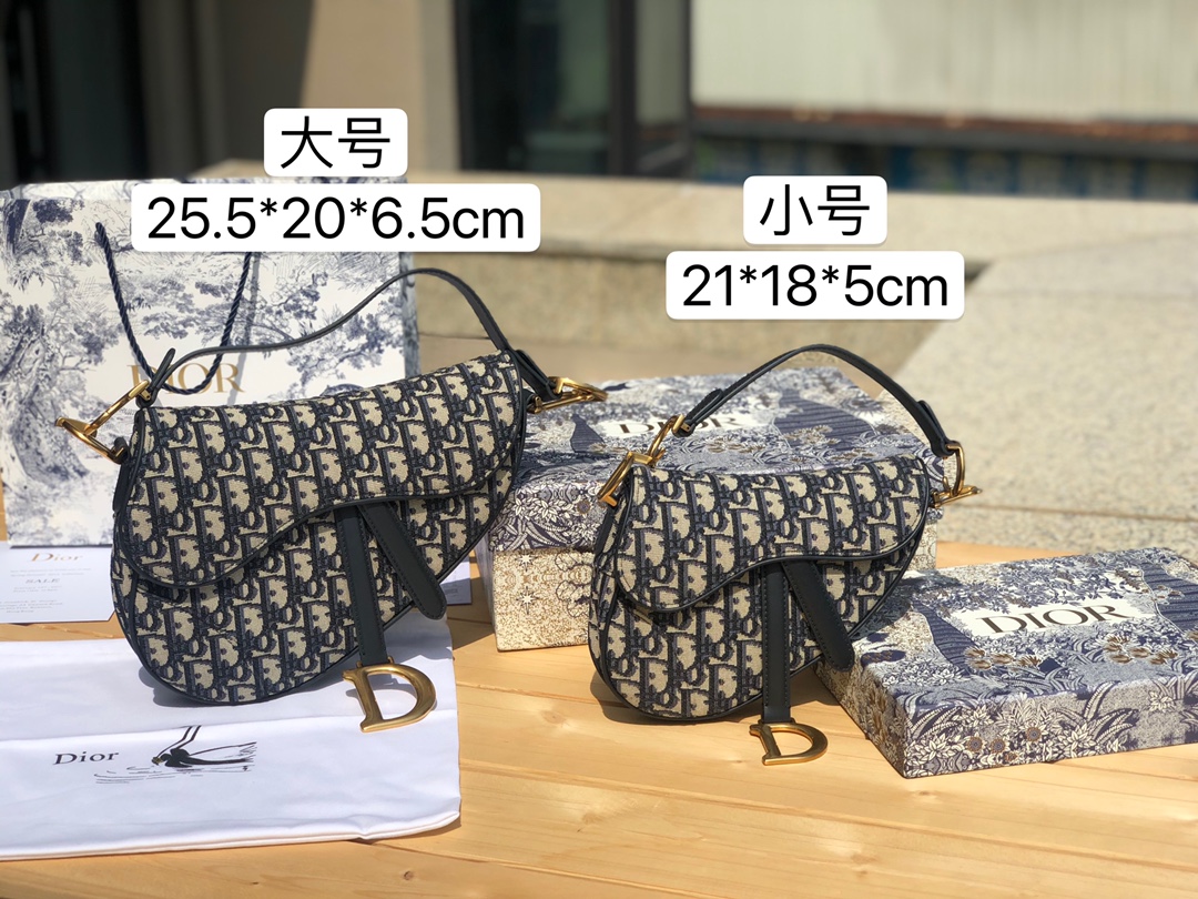 Bolso alforja DIOR Oblique