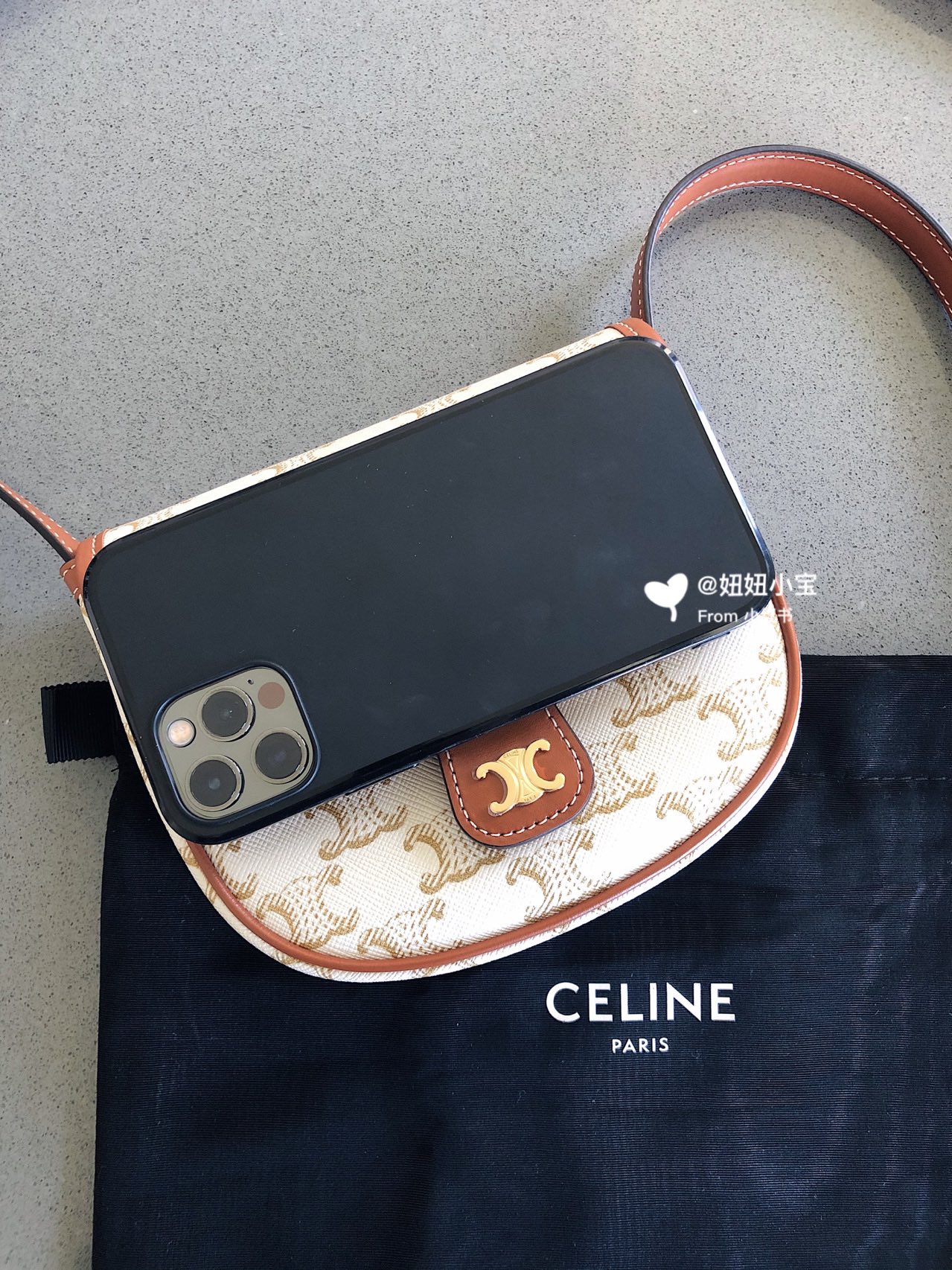 Celine思琳 Mini Besace 马鞍包 196702白花
