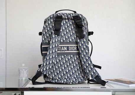 Dior Bags Backpack Blue Printing Oblique