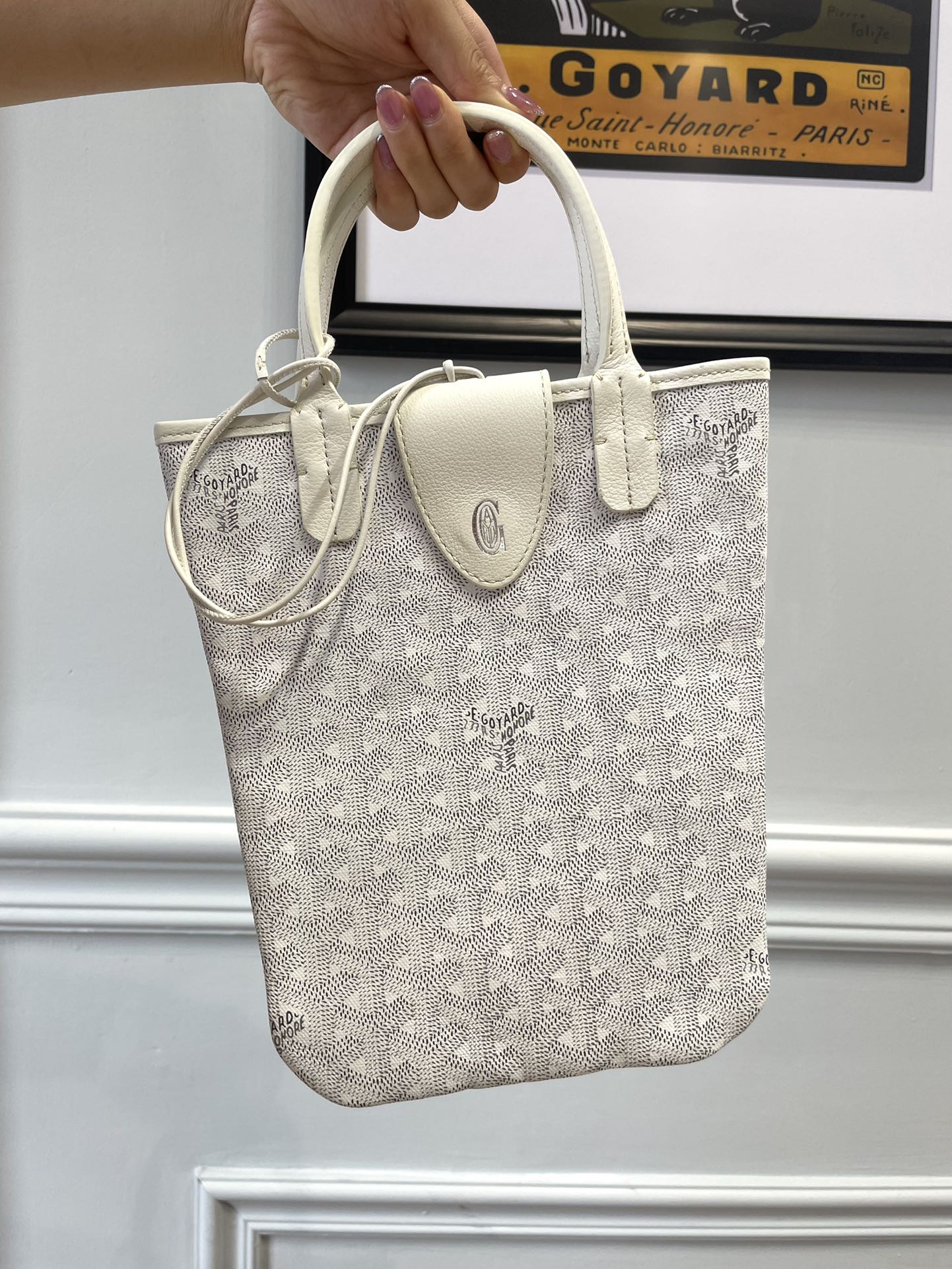 고야드 가방 77657 Goyard Bag