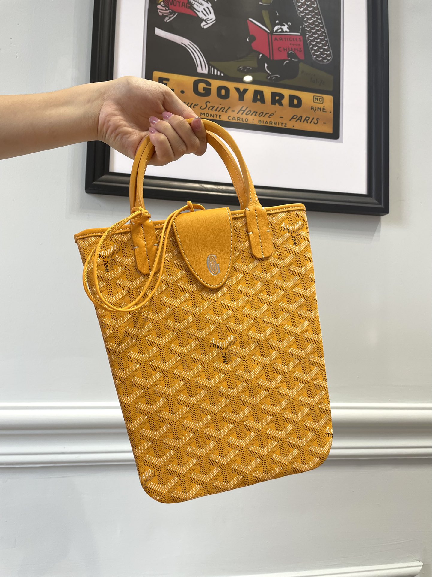 고야드 가방 77632 Goyard Bag