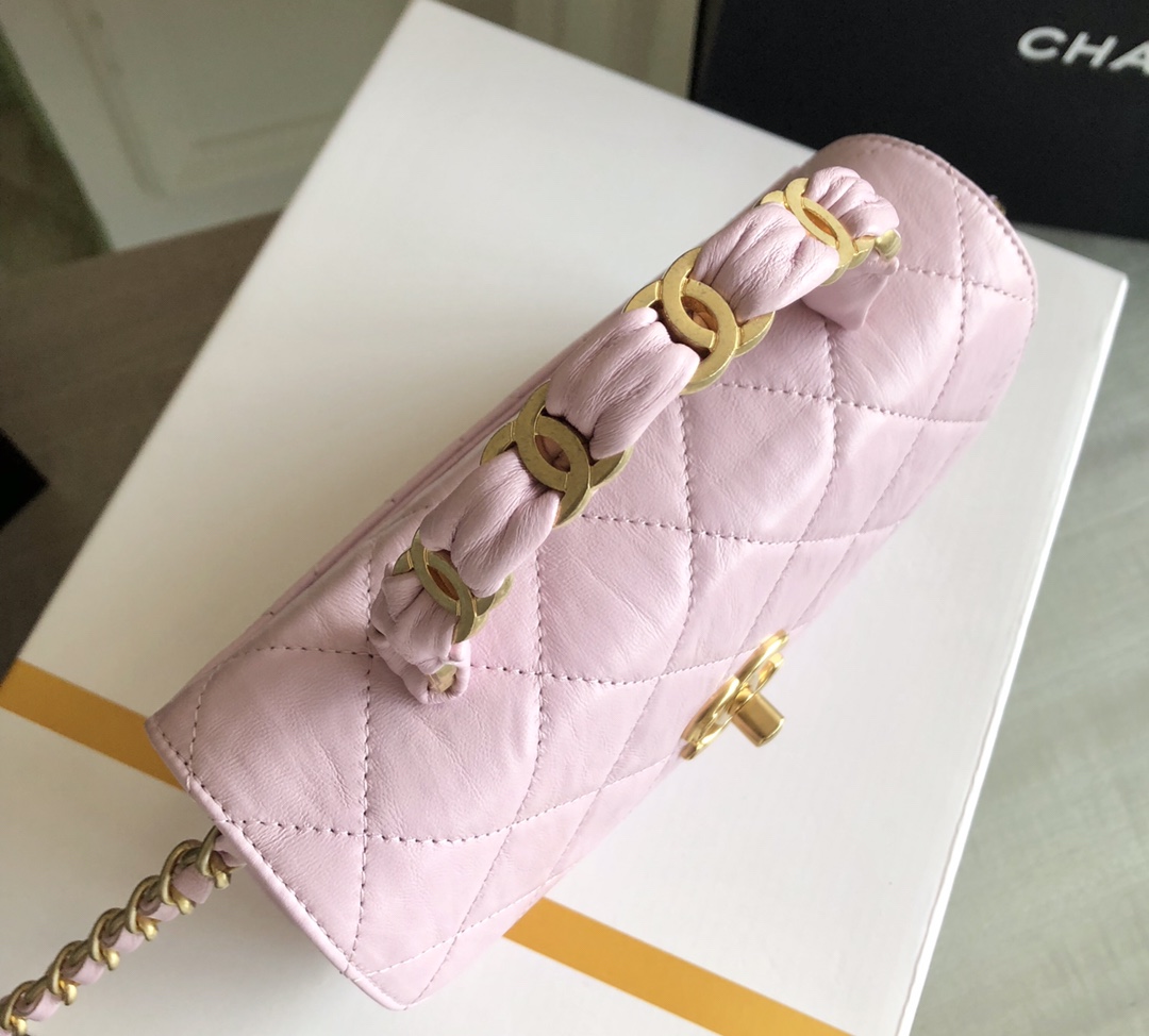 Chanel Luxury Handbag Collection 6