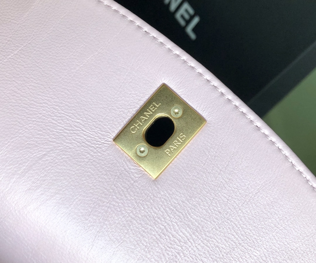 Chanel Luxury Handbag Collection 7