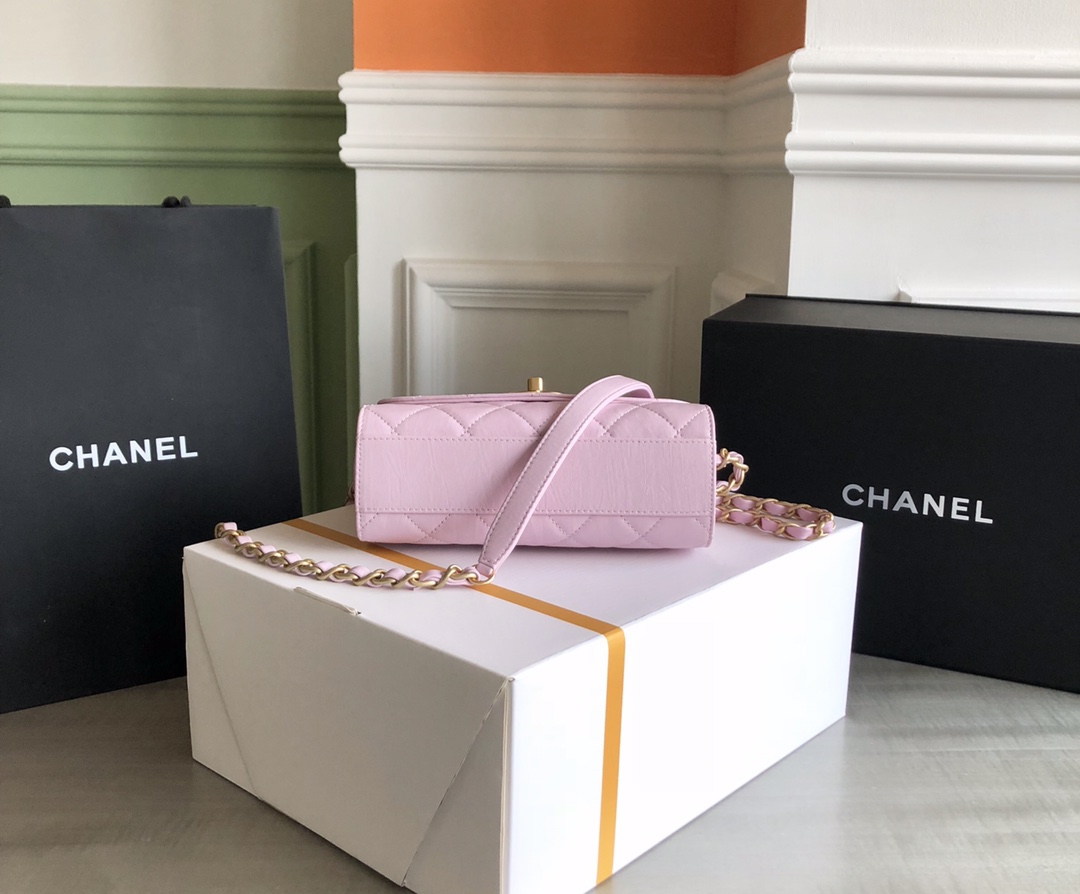 Chanel Luxury Handbag Collection 4