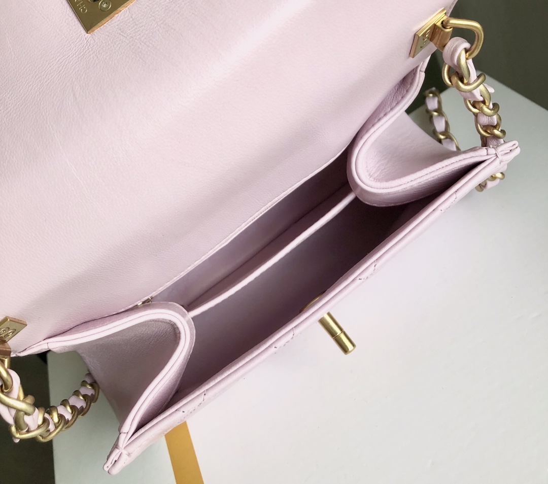 Chanel Luxury Handbag Collection 8