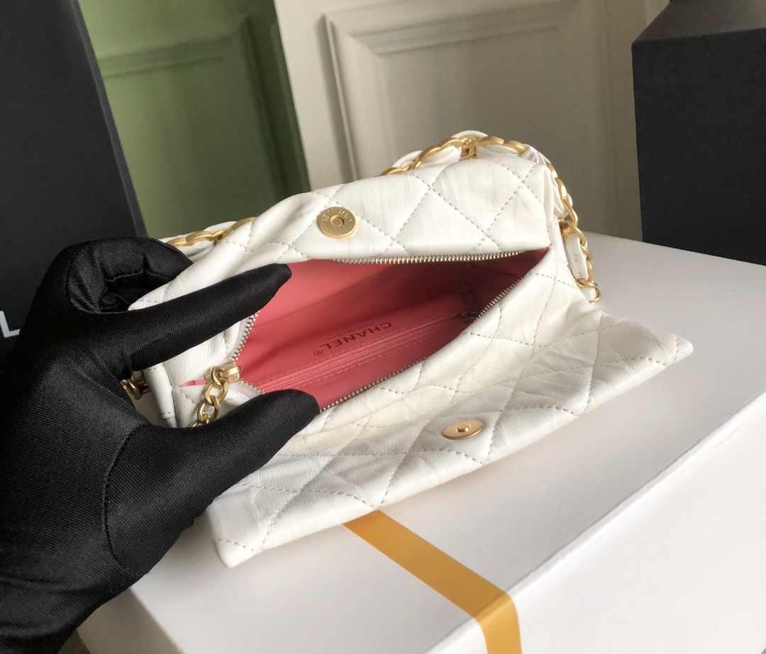 Chanel Luxury Handbag Collection 8
