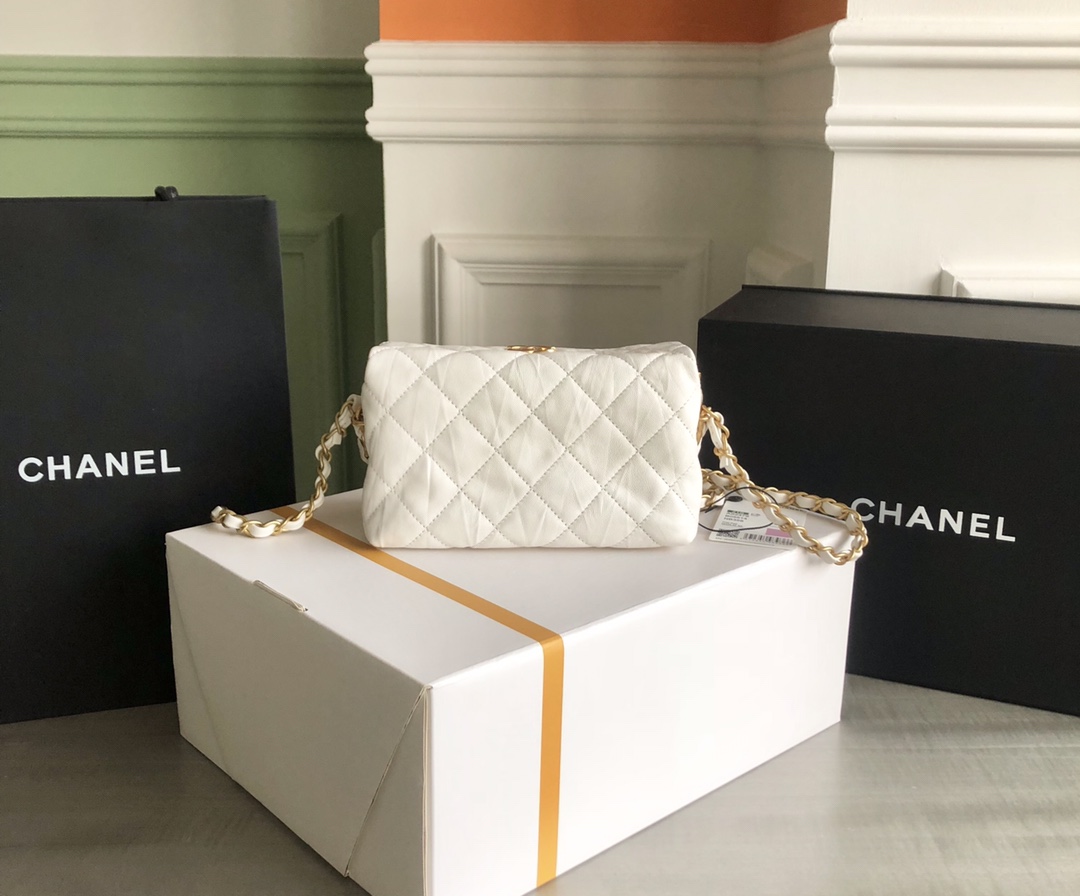 Chanel Luxury Handbag Collection 2