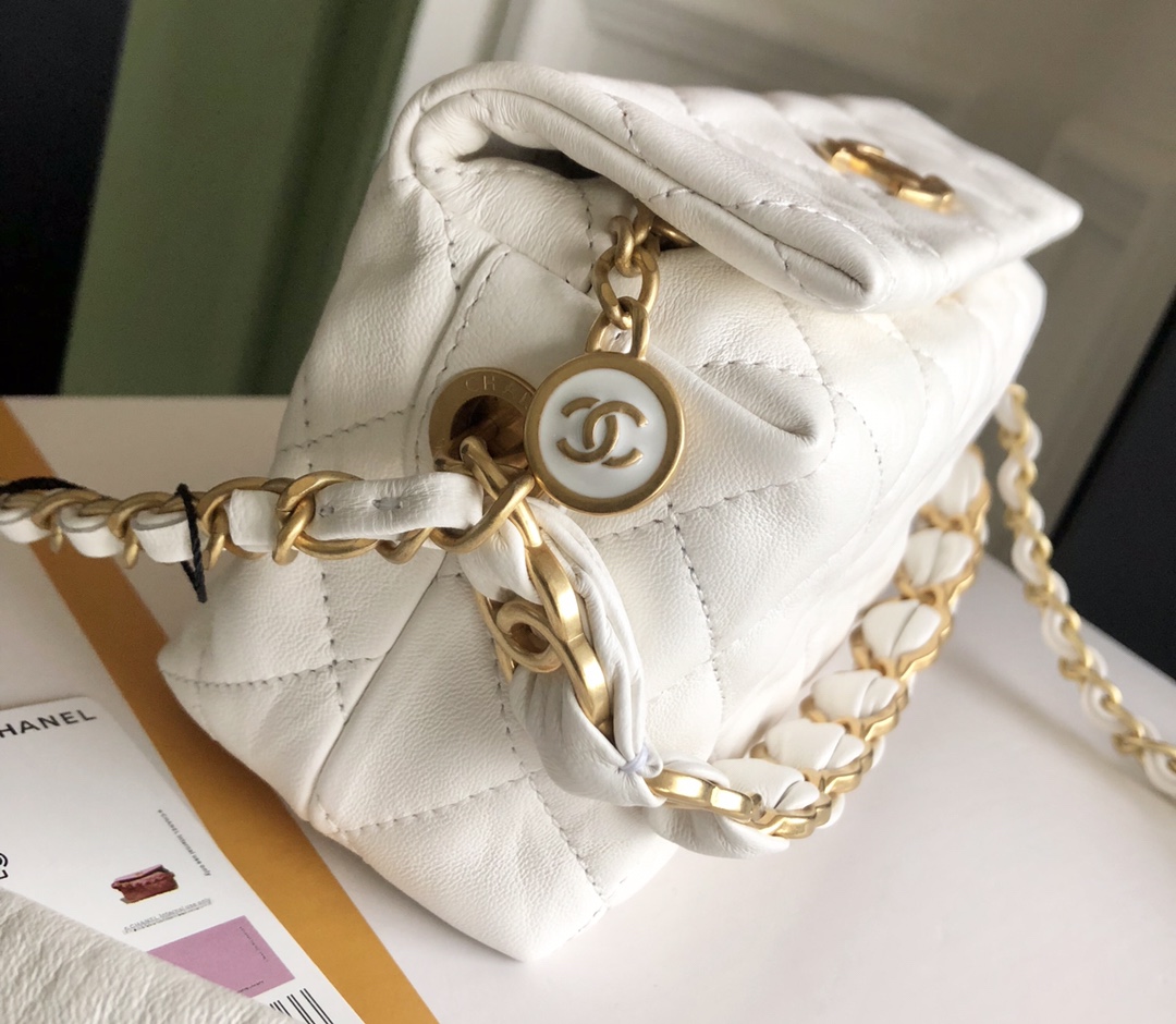 Chanel Luxury Handbag Collection 3