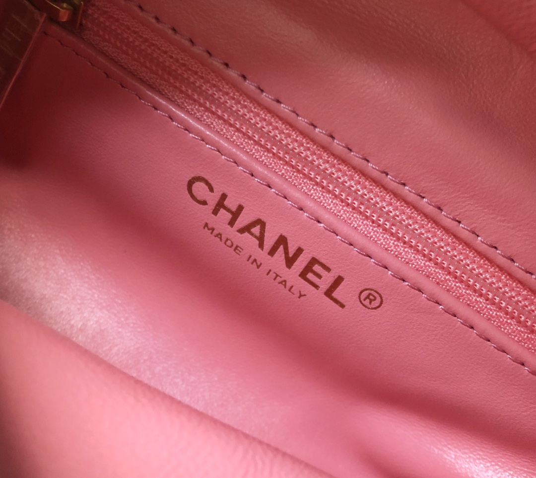 Chanel Luxury Handbag Collection 9